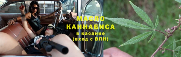 мет Алексин