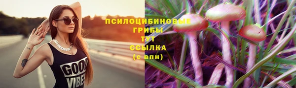мет Алексин
