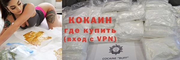 мет Алексин