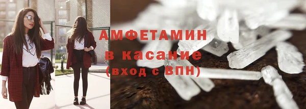 мет Алексин